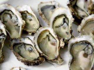 岩ガキ　大1ケ